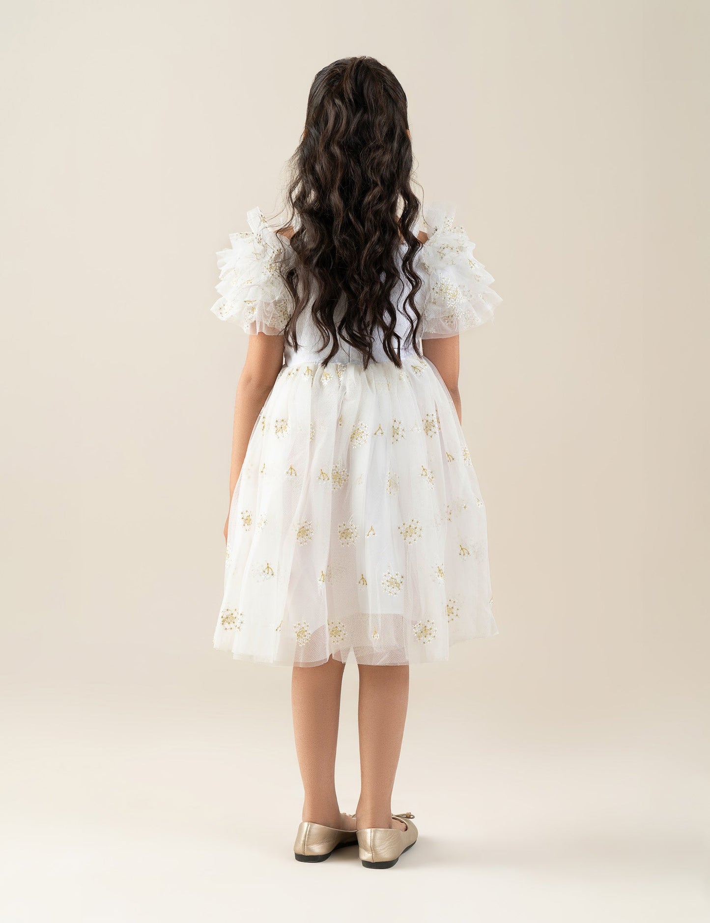 EMBROIDERED TULLE DRESS