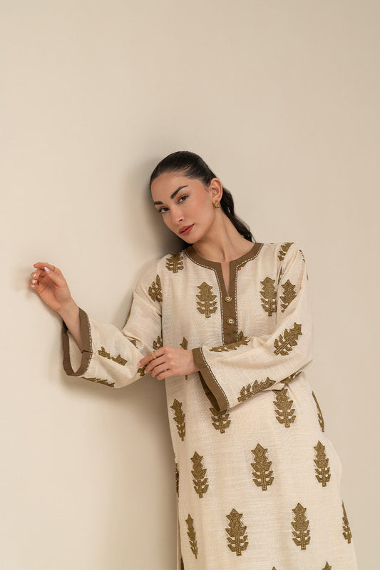 2 PIECE BASIC VELVET KHADDAR SUIT (PRET)