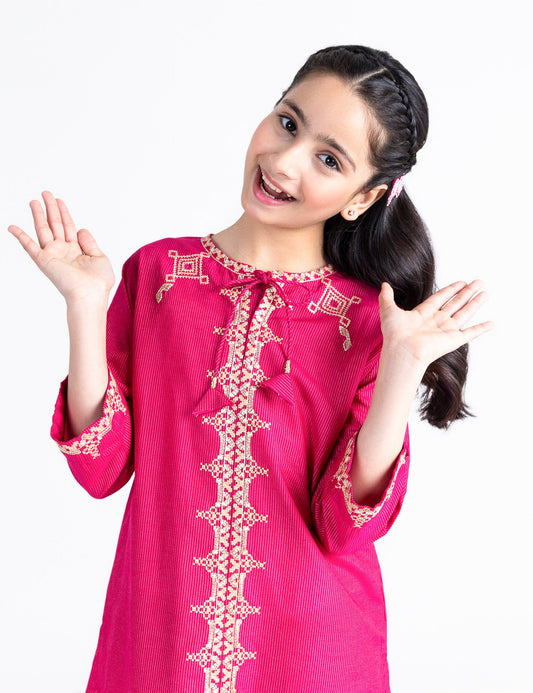 2 PIECE ETHNIC EMBROIDERED SUIT