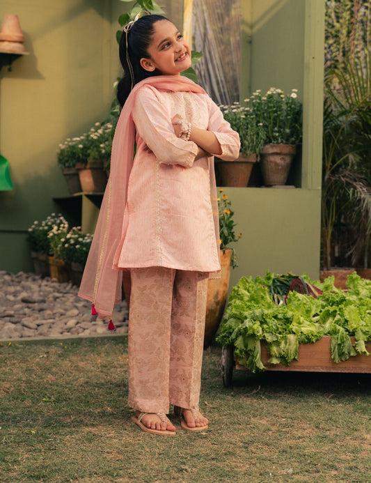 2 PIECE ETHNIC EMBROIDERED SUIT