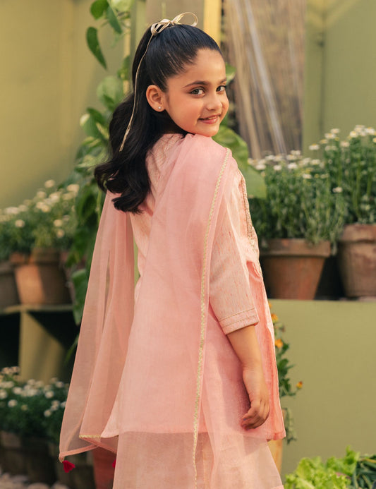 2 PIECE ETHNIC EMBROIDERED SUIT