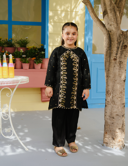 2 PIECE ALLOVER SEQUIN EMBROIDERED SUIT