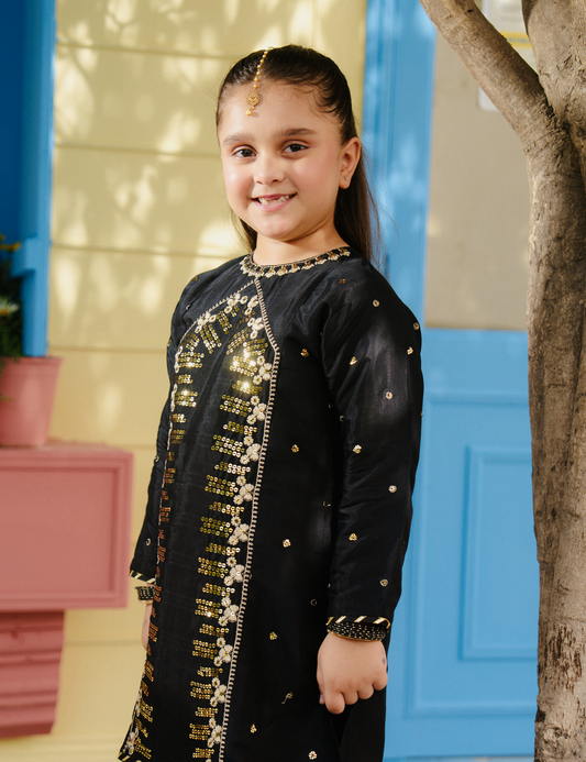 2 PIECE ALLOVER SEQUIN EMBROIDERED SUIT