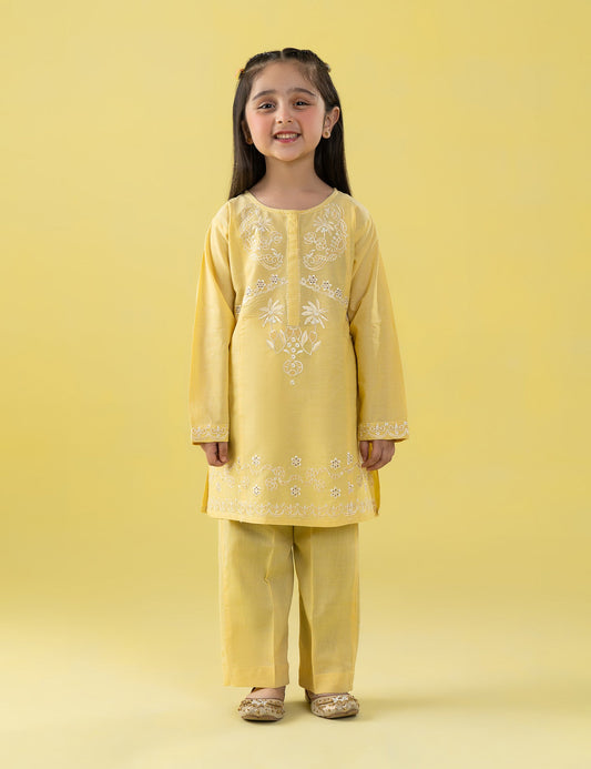 2 PIECE ETHNIC EMBROIDERED SUIT