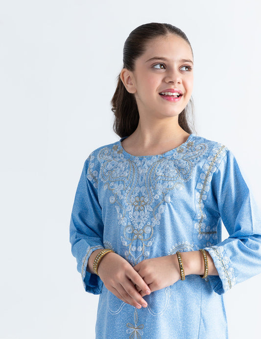 2 PIECE ETHNIC EMBROIDERED SUIT