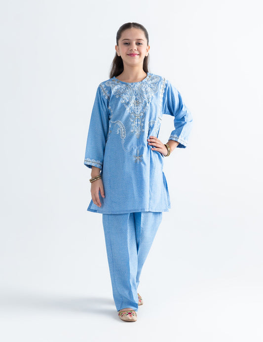 2 PIECE ETHNIC EMBROIDERED SUIT