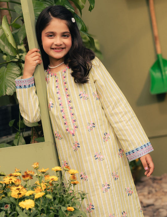 VIBRANT EMBROIDERED DRESS