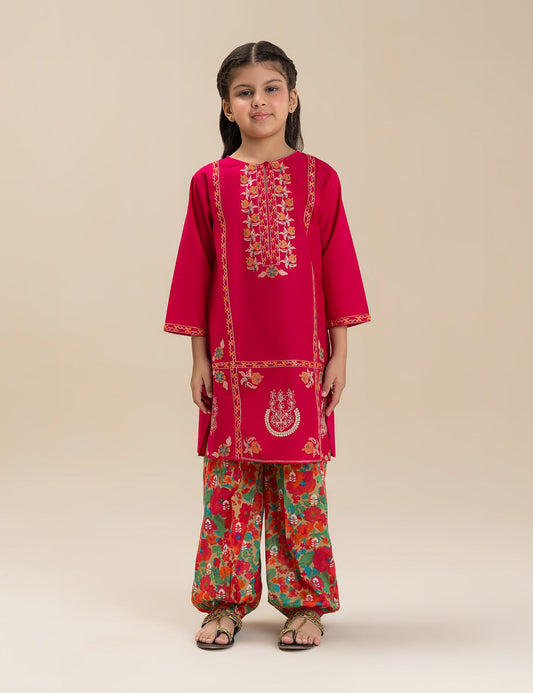 2 PIECE ETHNIC EMBROIDERED SUIT