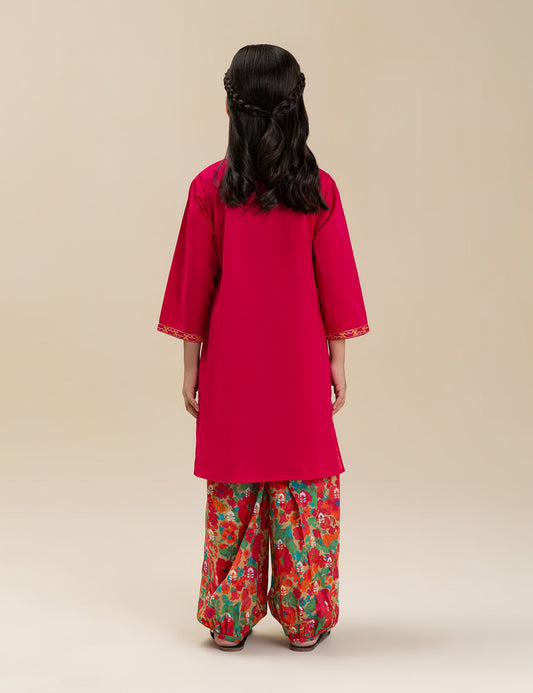 2 PIECE ETHNIC EMBROIDERED SUIT