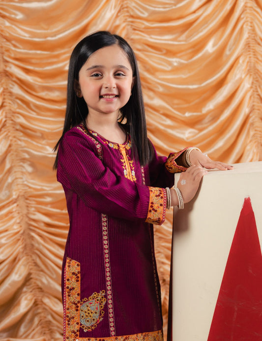 2 PIECE ETHNIC EMBROIDERED SUIT