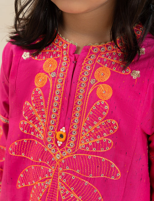 2 PIECE STYLISH EMBROIDERED SUIT