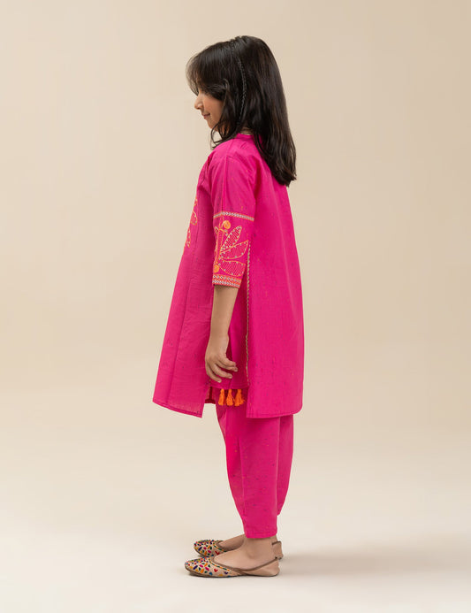 2 PIECE STYLISH EMBROIDERED SUIT
