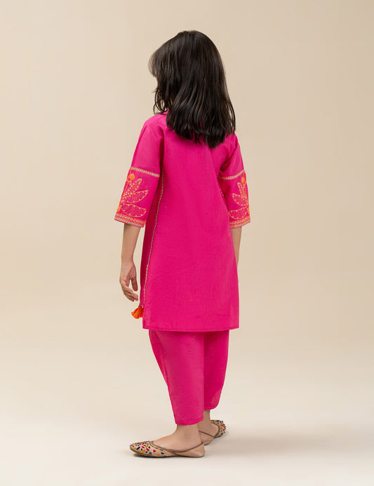 2 PIECE STYLISH EMBROIDERED SUIT