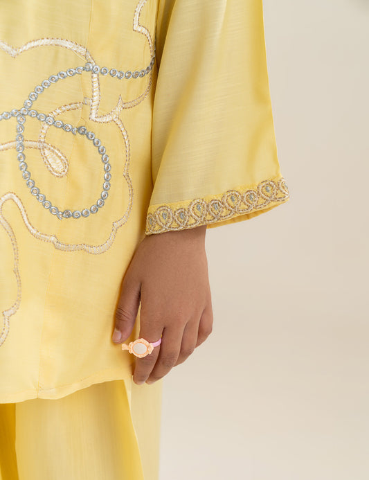 2 PIECE MULTI EMBROIDERED SUIT