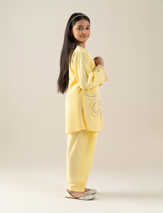 2 PIECE MULTI EMBROIDERED SUIT