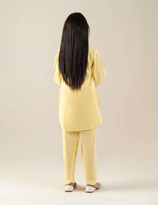 2 PIECE MULTI EMBROIDERED SUIT