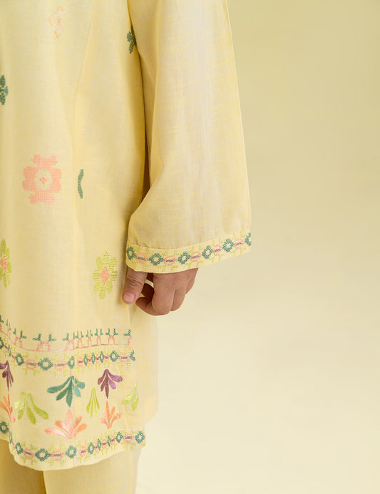 2 PIECE MULTI EMBROIDERED SUIT