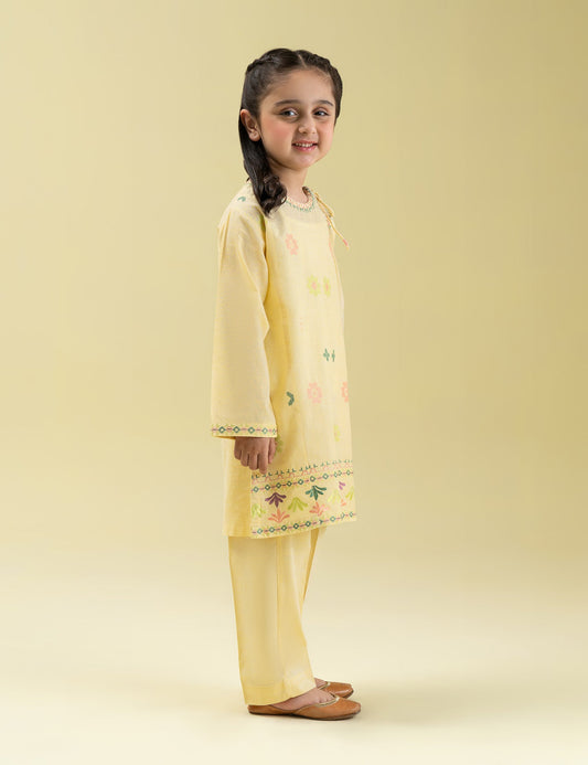 2 PIECE MULTI EMBROIDERED SUIT