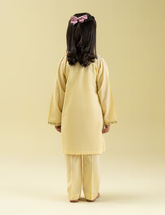 2 PIECE MULTI EMBROIDERED SUIT
