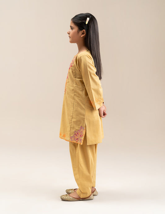 2 PIECE EMBROIDERED SUIT