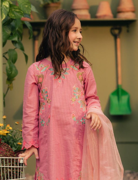 2 PIECE VIBRANT EMBROIDERED SUIT