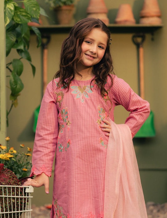 2 PIECE VIBRANT EMBROIDERED SUIT