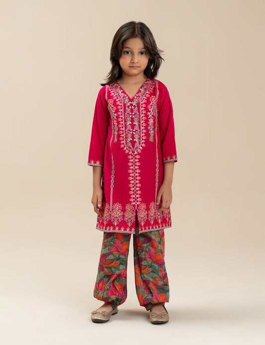 2 PIECE ETHNIC EMBROIDERED SUIT