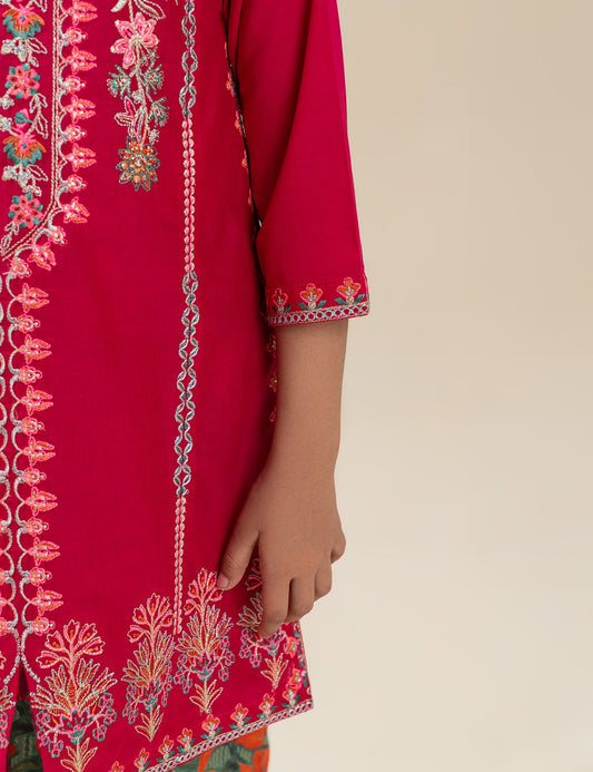 2 PIECE ETHNIC EMBROIDERED SUIT