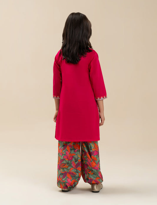2 PIECE ETHNIC EMBROIDERED SUIT