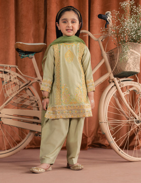 2 PIECE ETHNIC EMBROIDERED SUIT