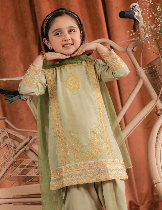 2 PIECE ETHNIC EMBROIDERED SUIT