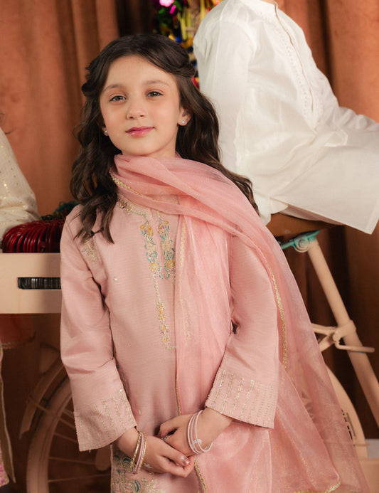 2 PIECE ETHNIC EMBROIDERED SUIT