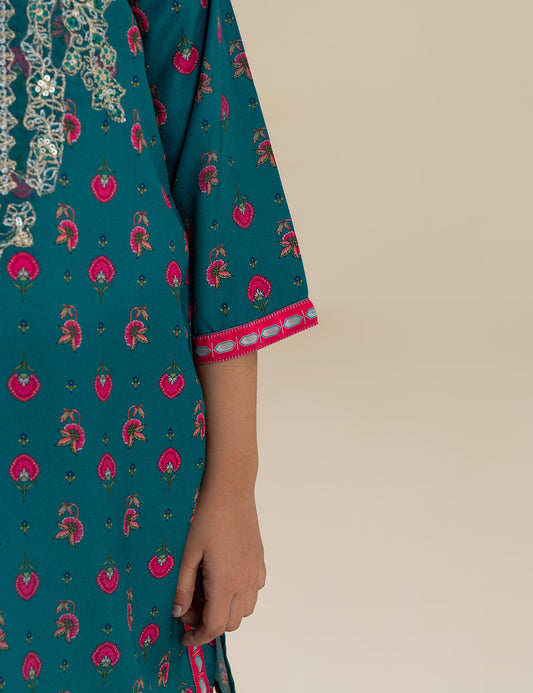 2 PIECE ETHNIC EMBROIDERED SUIT