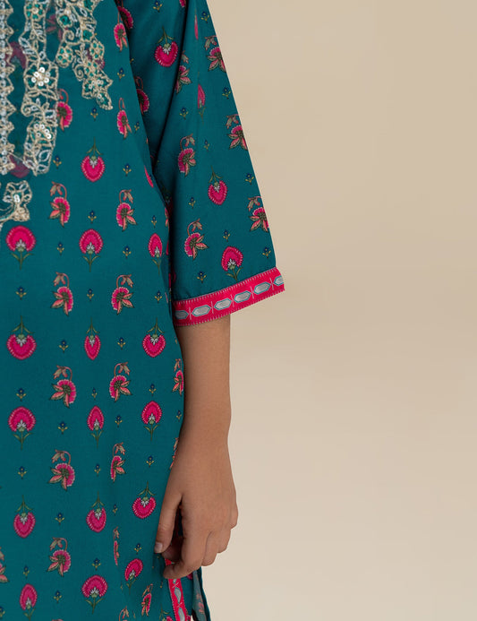 2 PIECE ETHNIC EMBROIDERED SUIT