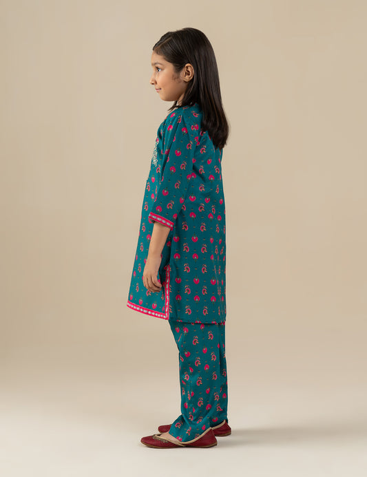 2 PIECE ETHNIC EMBROIDERED SUIT