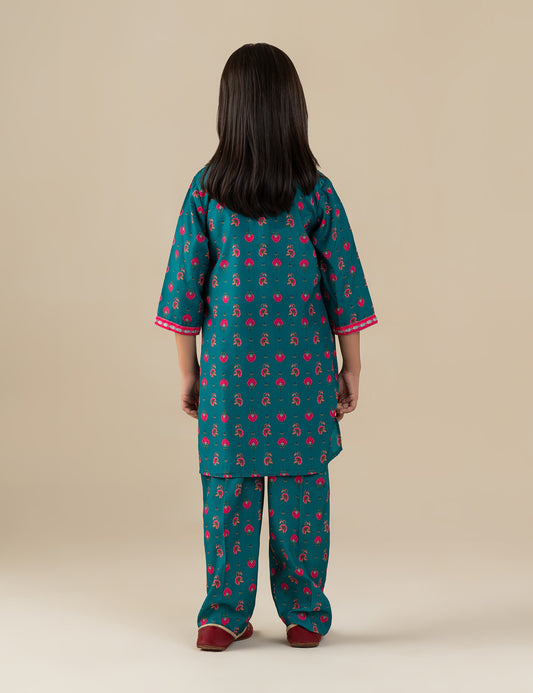 2 PIECE ETHNIC EMBROIDERED SUIT