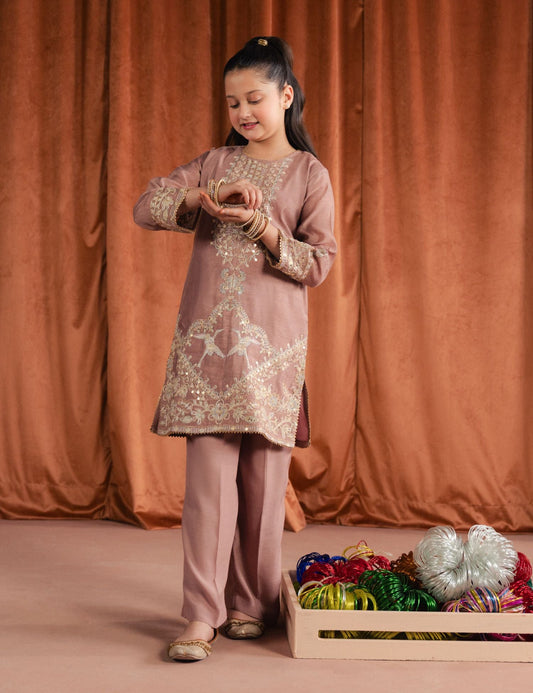 2 PIECE ETHNIC EMBROIDERED SUIT