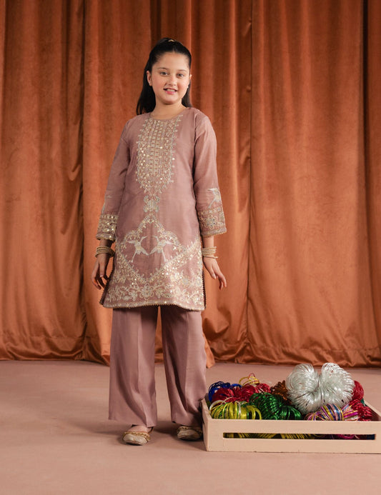 2 PIECE ETHNIC EMBROIDERED SUIT