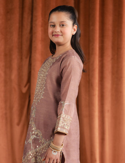 2 PIECE ETHNIC EMBROIDERED SUIT