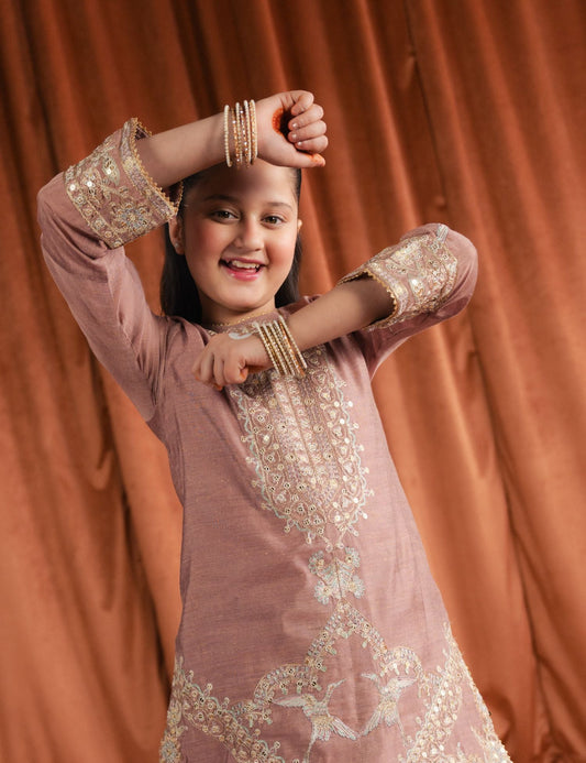 2 PIECE ETHNIC EMBROIDERED SUIT