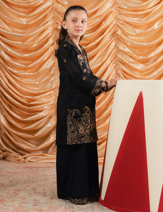 2 PIECE ETHNIC EMBROIDERED SUIT