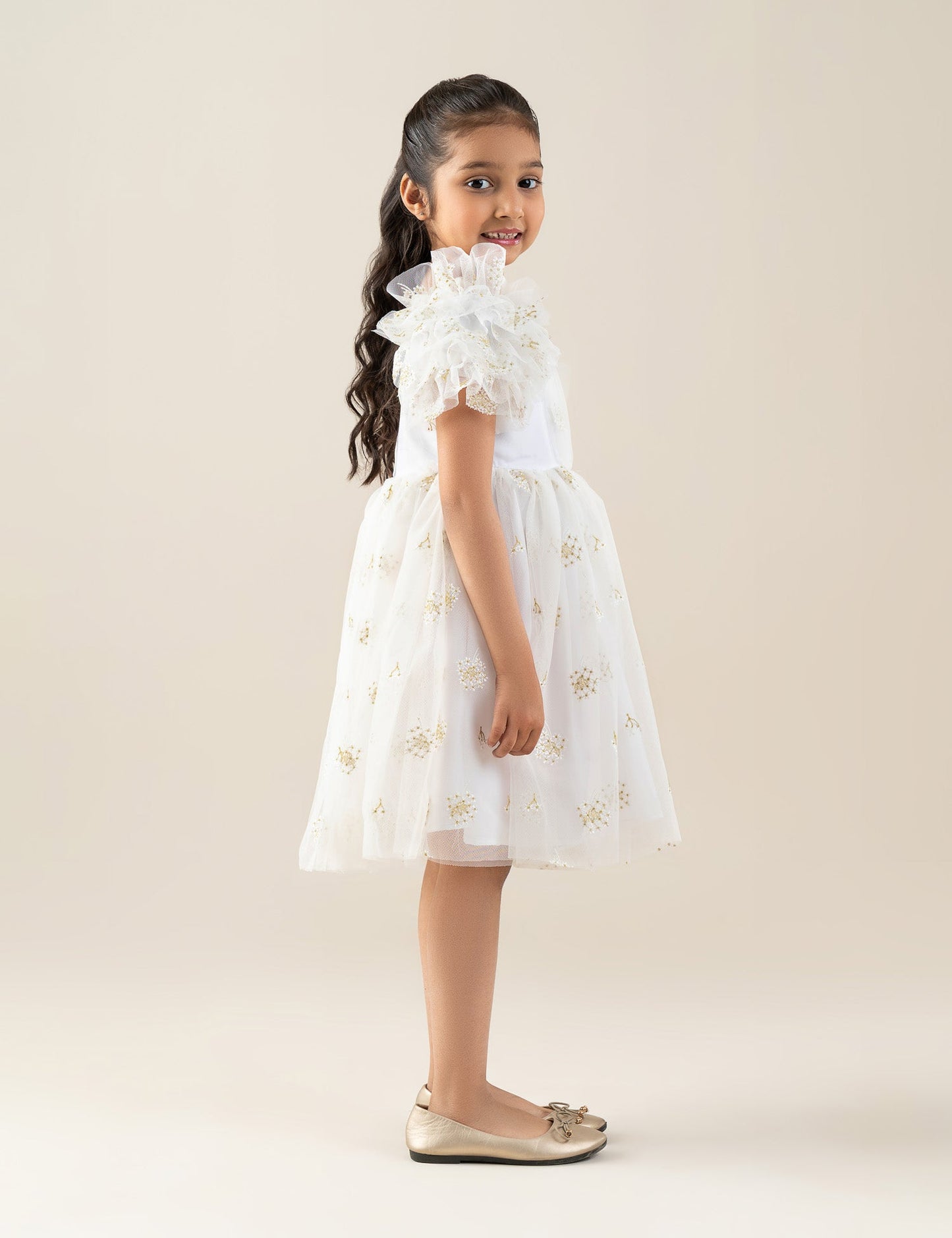 EMBROIDERED TULLE DRESS