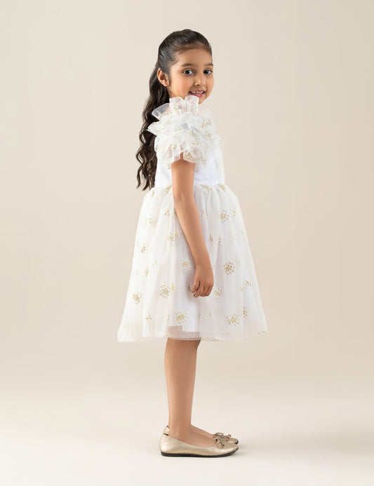 EMBROIDERED TULLE DRESS