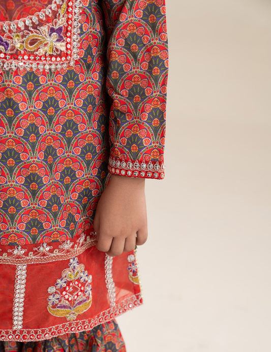 2 PIECE ETHNIC EMBROIDERED SUIT