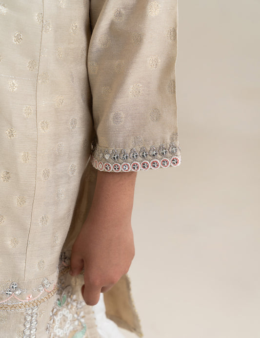 2 PIECE ETHNIC EMBROIDERED SUIT