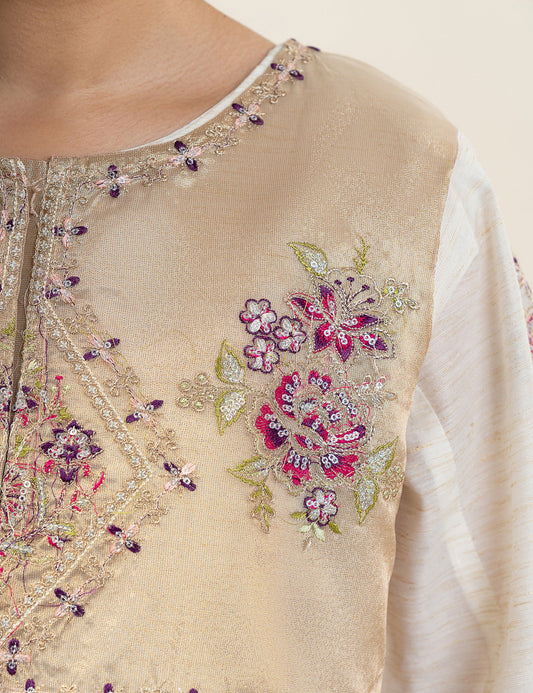 2 PIECE ETHNIC EMBROIDERED SUIT