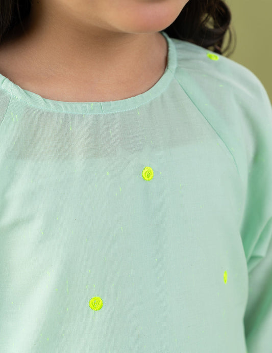 2 PIECE VIBRANT EMBROIDERED SUIT