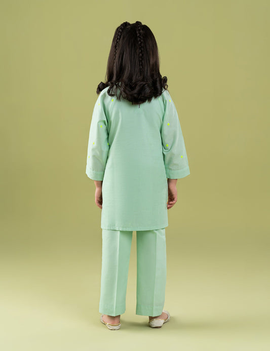 2 PIECE VIBRANT EMBROIDERED SUIT