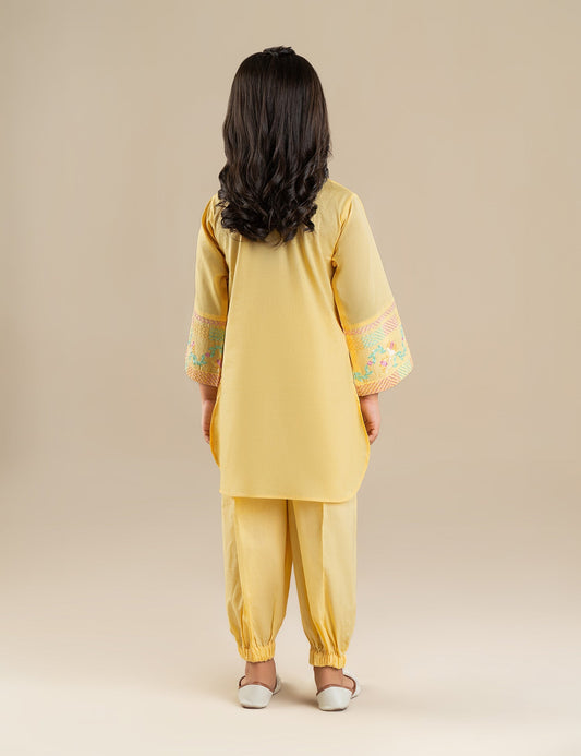 2 PIECE ETHNIC EMBROIDERED SUIT