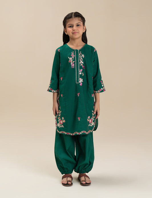 2 PIECE VIBRANT EMBROIDERED SUIT